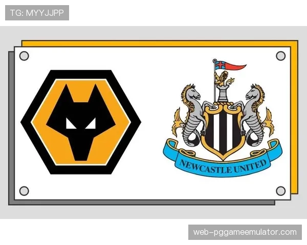 纽卡斯尔联1比0胜狼队，取得赛季首胜