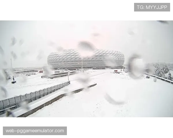 德甲冬日比赛条件恶劣，球场加热系统保障赛事进行