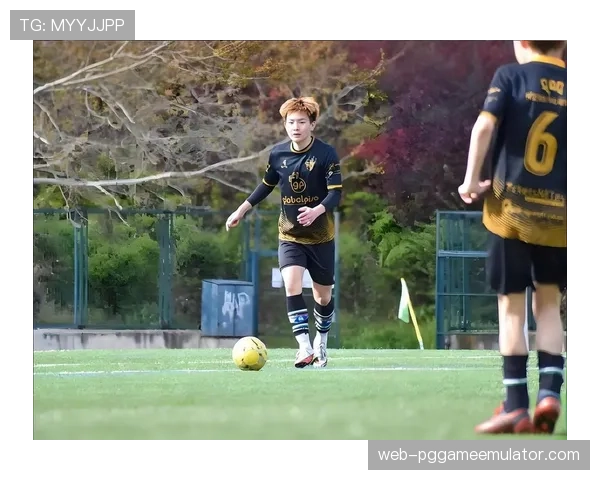 德甲俱乐部青训体系投入加大，年轻球员培养成效显著