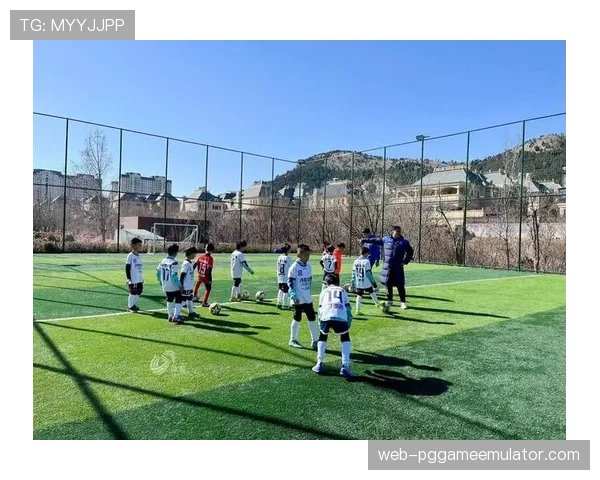 英超俱乐部联合推出社区足球计划，鼓励青少年参与基层赛事