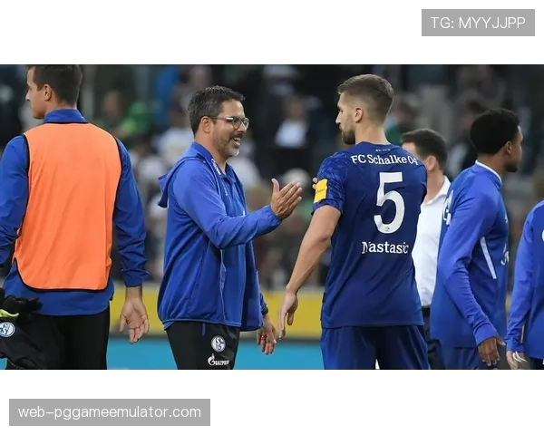 柏林联合新主场建设进度更新，将配备更先进的草坪加热与排水系统