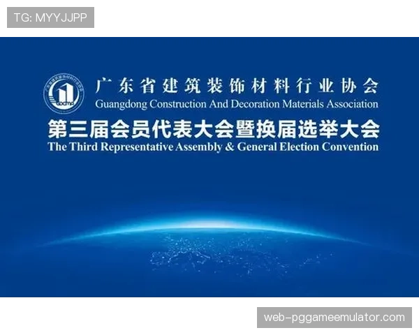 国际足联道德委员会就某会员协会选举舞弊案展开调查 国际足联道德委员会就某会员协会选举舞弊案展开调查
